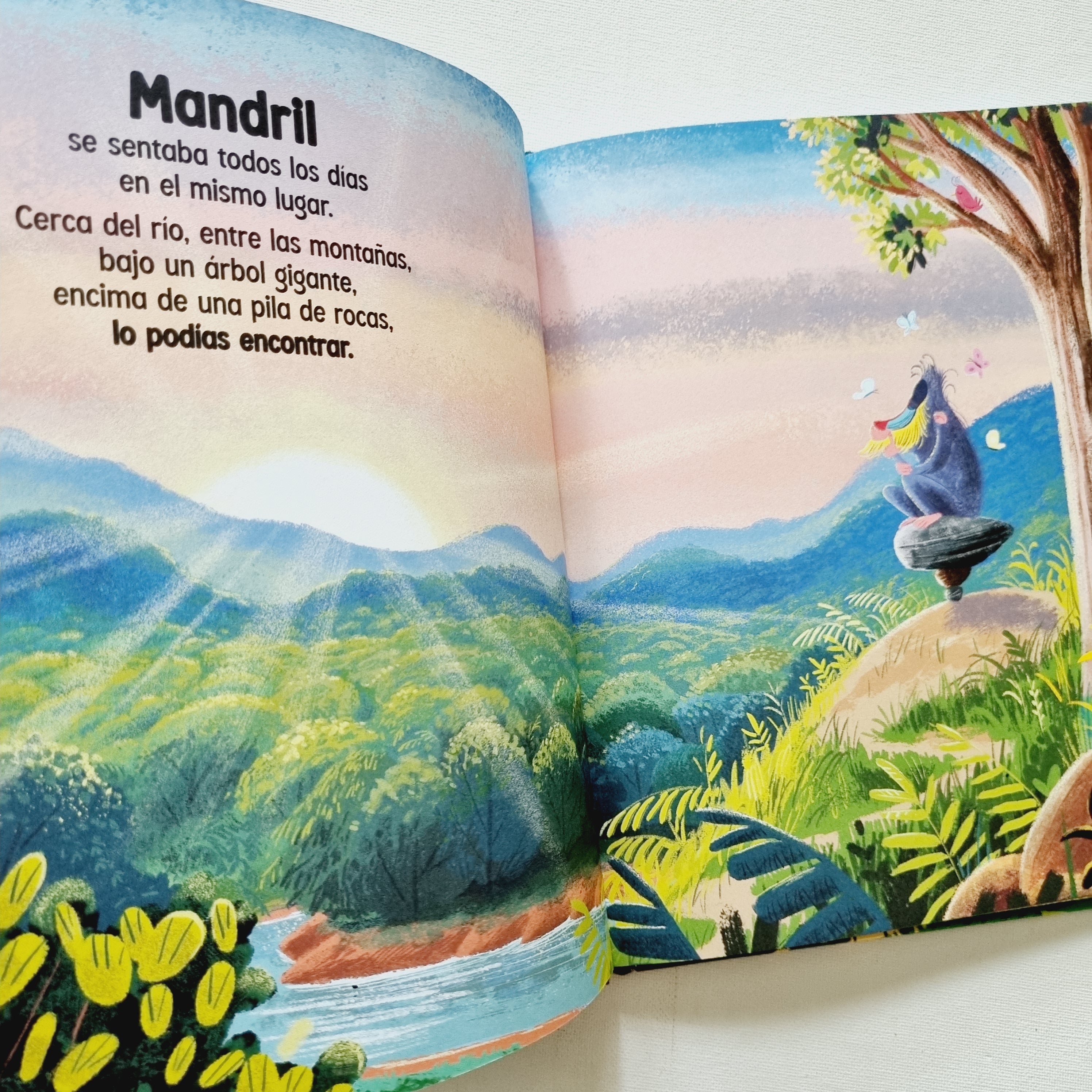 Mandril Mandril